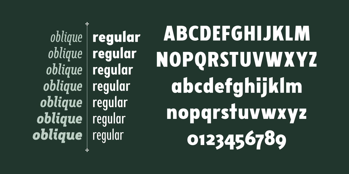 Fellbaum Grotesk Medium Italic Font preview